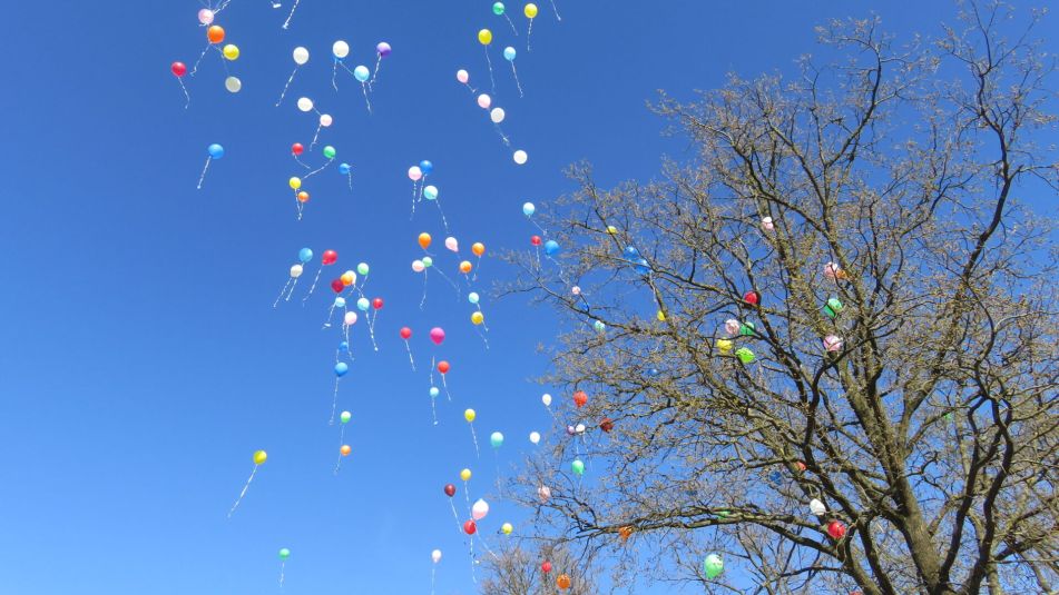 Bunte Luftballons steigen bei der 20 Jahre Feier in den blauen Himmel