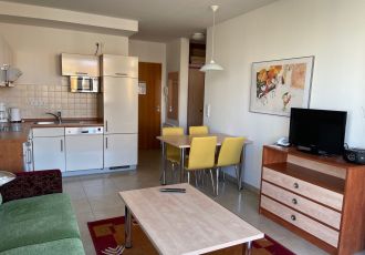 Wohnbereich mit Küche und Couch
