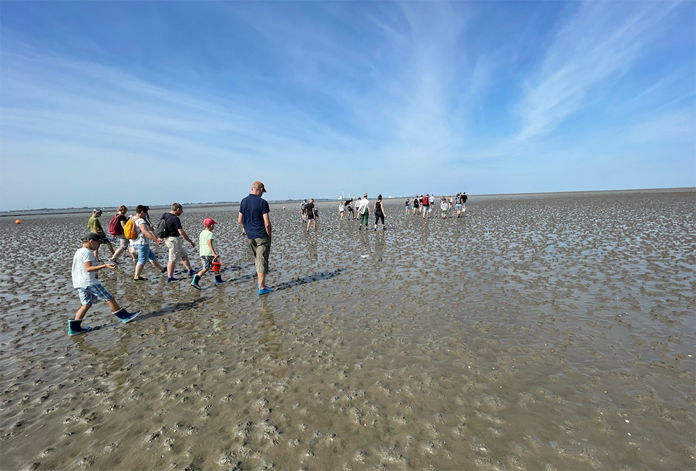 Eine Gruppe wandert durchs Wattenmeer